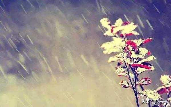 农村俗语“宁要重阳十三雨,不要立冬一日晴”,是啥意思,和农业收成有关吗?