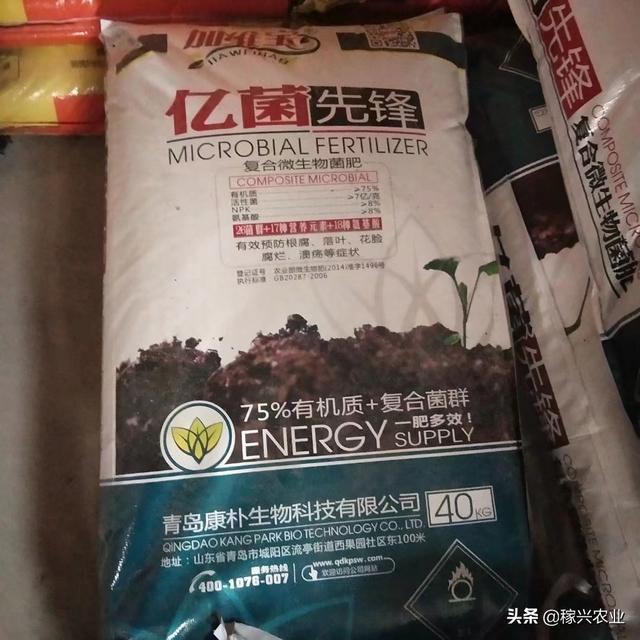 小麦底肥如何科学配比才能高产?