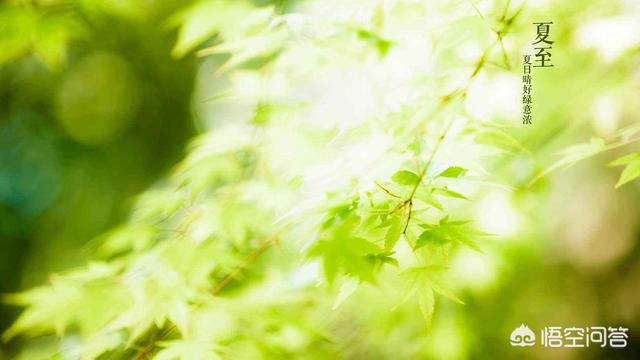 农村俗语说的：夏至有雨三伏热，重阳无雨一冬晴，今年夏天会热吗？