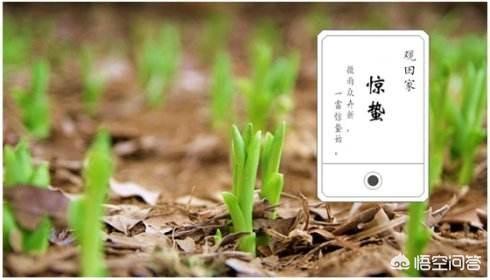 农村老话“雷打惊蛰谷米贱”什么意思,有道理吗?