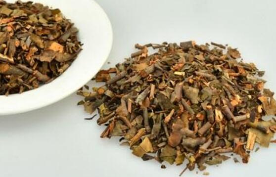 桑寄生茶的功效与作用 桑寄生茶的禁忌