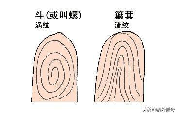 农村老俗话说“十指簸萁没有斗,只往外簸没处装”是什么意思?有道理吗?