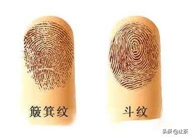 农村老俗话说“十指簸萁没有斗,只往外簸没处装”是什么意思?有道理吗?