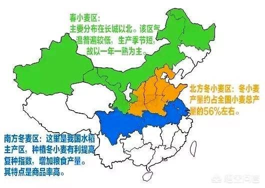 种麦子的最佳时间是什么时候?南方和北方分别要注意些什么?