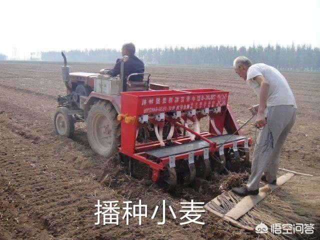 种麦子的最佳时间是什么时候?南方和北方分别要注意些什么?