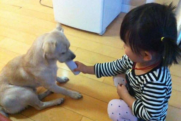 狂犬疫苗副作用终身 狂犬多久打一次