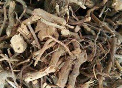 茅莓根的功效与作用 茅莓根的最大作用是什么