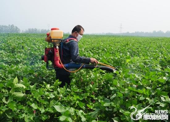 近期大面积的连续降雨,对秋收农作物有哪些影响?
