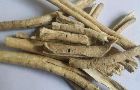白鲜皮的功效与作用 白鲜皮的禁忌