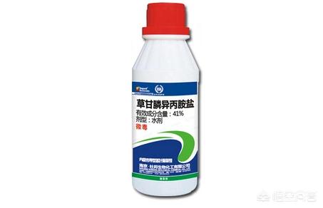 草甘膦如何使用比较好?怎样使用草甘膦不容易产生药害?