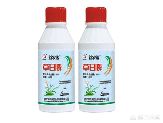 草甘膦如何使用比较好?怎样使用草甘膦不容易产生药害?