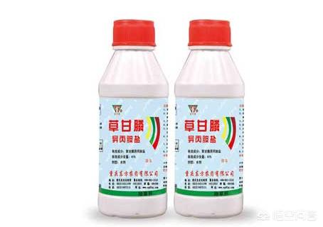 草甘膦如何使用比较好?怎样使用草甘膦不容易产生药害?