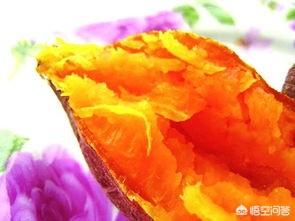 2018年下半年,河南平顶山的红薯价格怎么样?