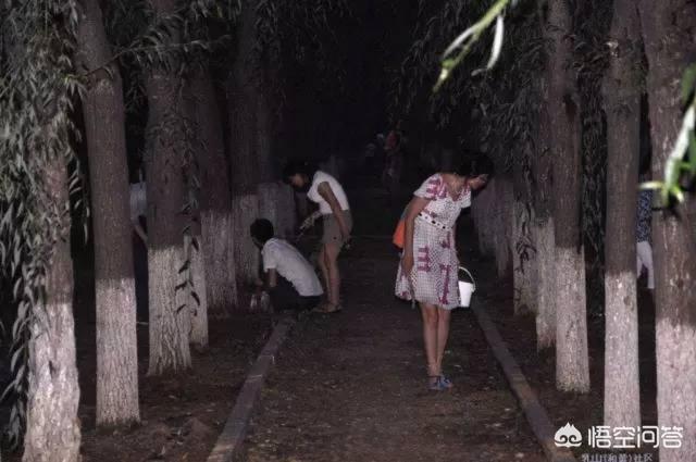 在夏季,什么时候出门能捡到更多的蝉?