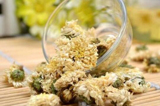 贡菊的作用与功效 喝贡菊的好处
