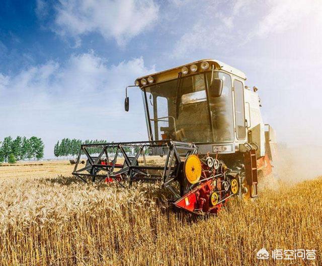 目前小麦价格涨价过猛,农民可以卖小麦吗?