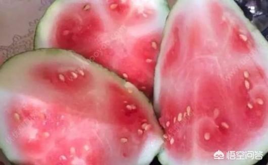 没有成熟的西瓜可以吃吗?吃了对身体会有影响吗?