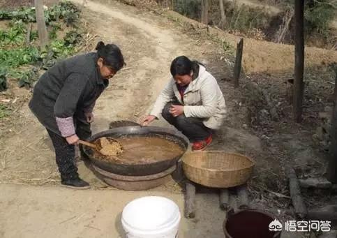收小麦时,地里洒落的小麦太浪费了,有什么好的方法解决吗?