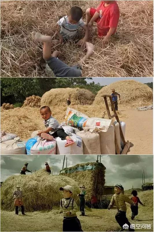 收小麦时,地里洒落的小麦太浪费了,有什么好的方法解决吗?