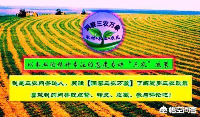 红薯种植的过程中，只施磷钾肥好不好？