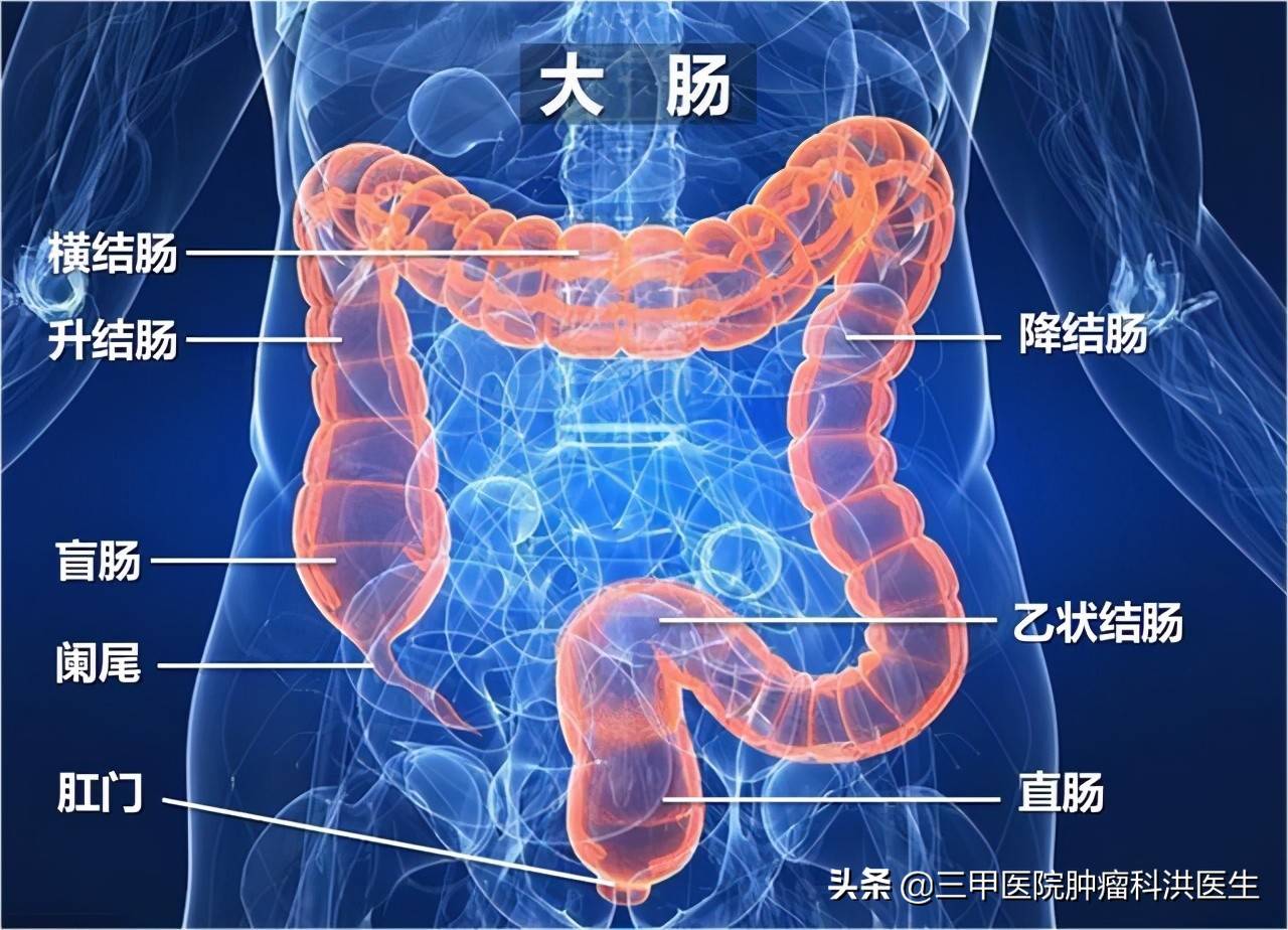 结肠癌死前三二天表现 结肠癌晚期能活多久