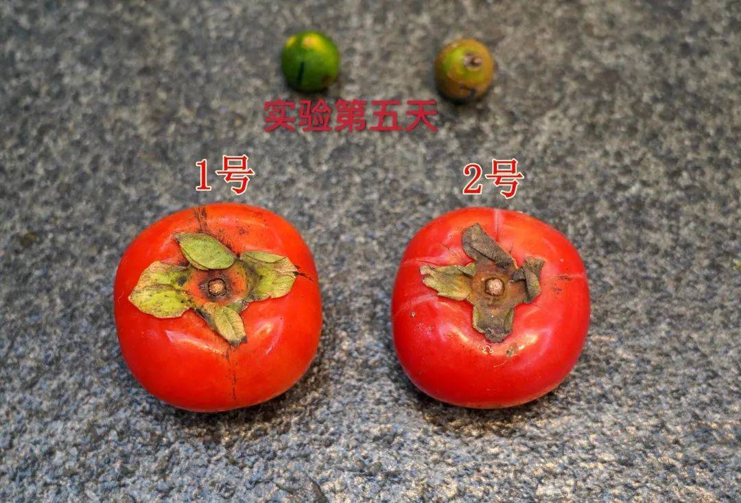 青菜放冰箱一周还能吃吗 蔬菜可以放多久