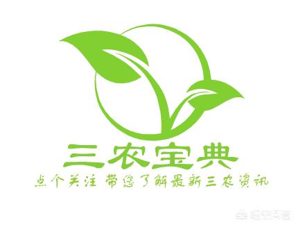 农村养的鸡一只上百块钱,为什么超市里一只烤全鸡才9.9元?