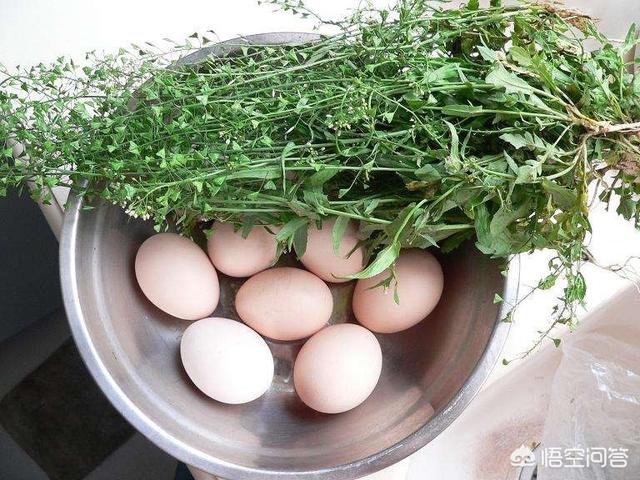 “三月三,吃鸡蛋”有什么寓意吗?