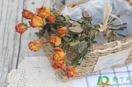 干花如何长期保存 母亲节送什么干花好