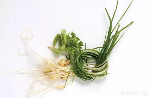 春天到了，你们当地都有什么可以吃的野菜？