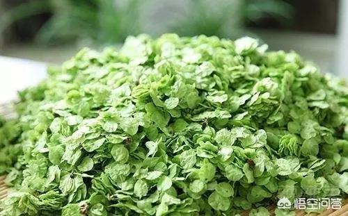 春天到了，你们当地都有什么可以吃的野菜？