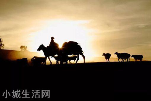 世界上走路最多的人是谁?