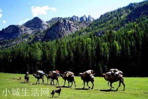 世界上走路最多的人是谁?