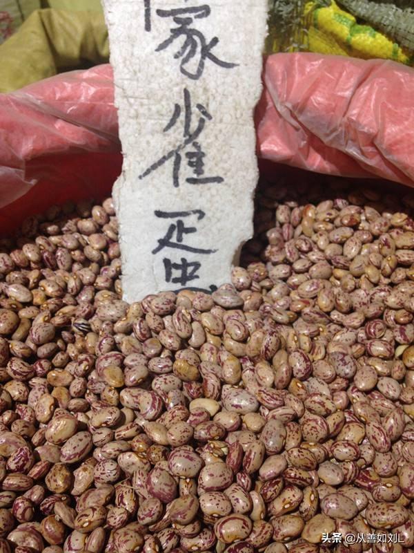 如何种植豆角?