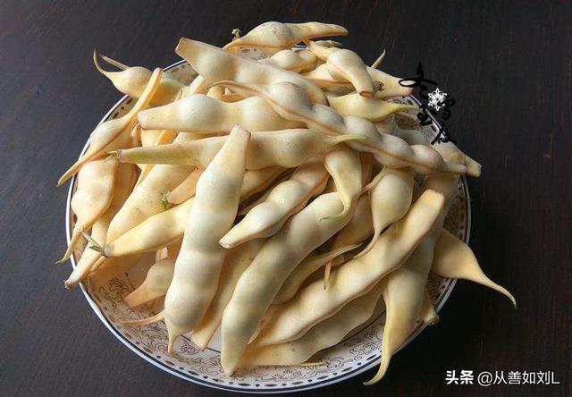 如何种植豆角?