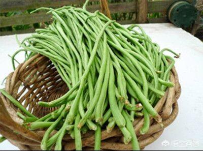 如何种植豆角?