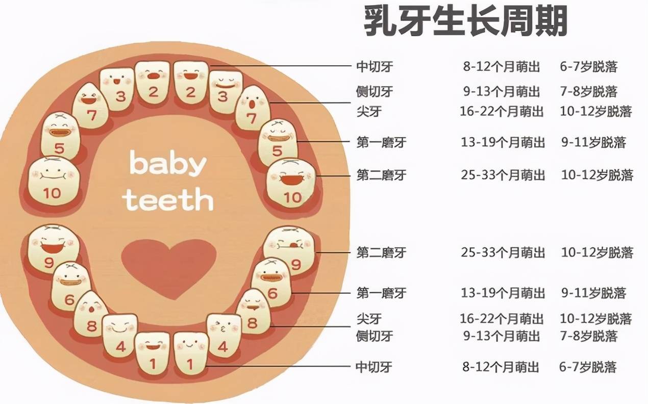婴儿正常几个月长牙 婴儿多久长牙