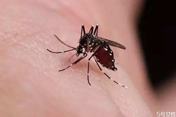 被蚊子咬了怎么止痒消肿 蚊子为什么要吸血