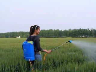 抗性蓟马用什么药剂?