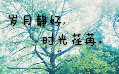 为什么紫苏在我国古代被称为“荏苒”？