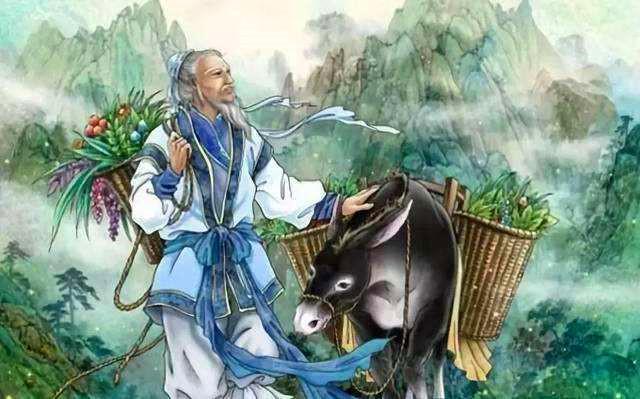 为什么紫苏在我国古代被称为“荏苒”？