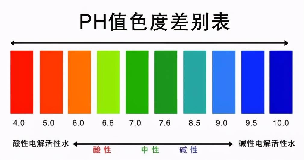 金鱼为什么养单不养双 养金鱼多久换一次水