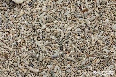 微生物菌肥什么时间用最好?是不是用一次就可以?