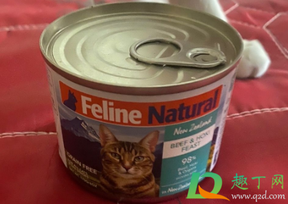 猫除了猫罐头什么都不吃怎么办