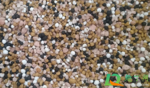 复合肥浇菜几天浇一次