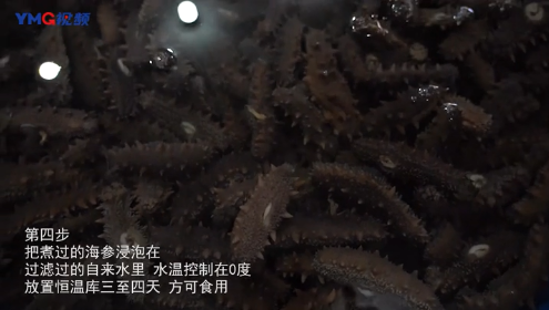 干海参煮多长时间就熟了 海参煮多久熟