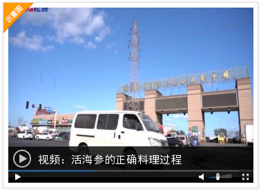 干海参煮多长时间就熟了 海参煮多久熟