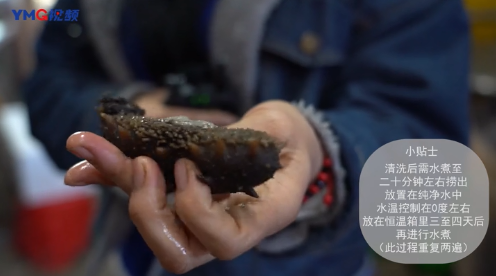 干海参煮多长时间就熟了 海参煮多久熟