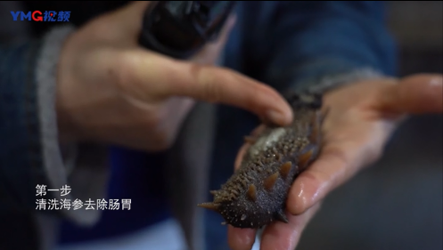 干海参煮多长时间就熟了 海参煮多久熟