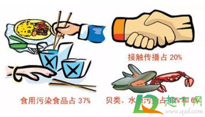 诺如病毒症状是吃什么引发的